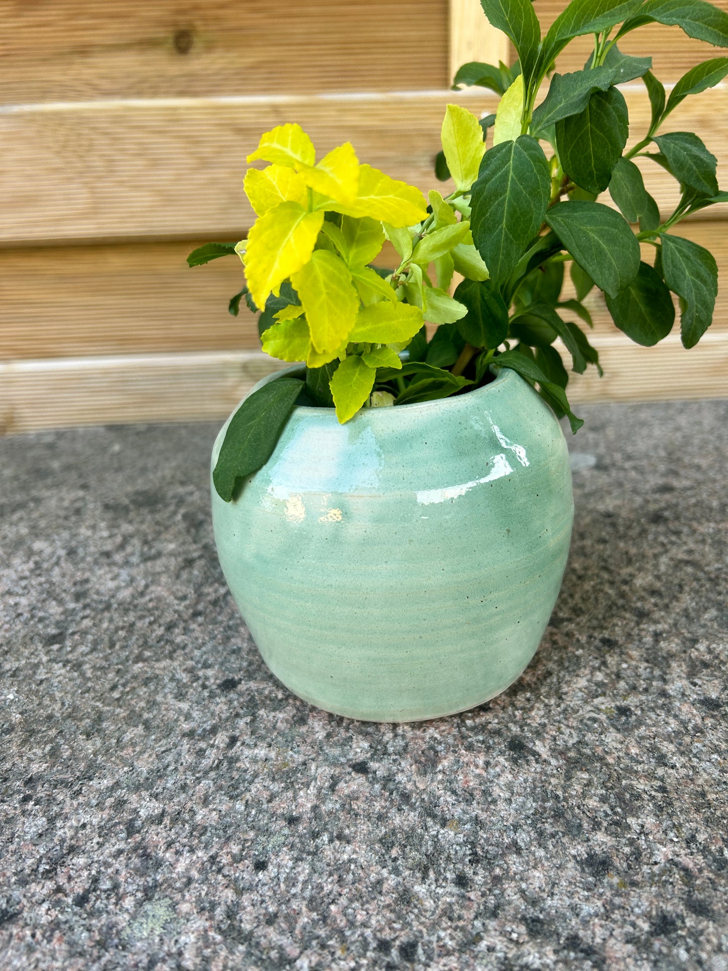Blomvas ljusgrön